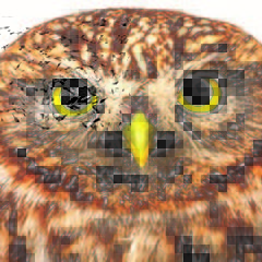 Книги для тренировки памяти и внимания