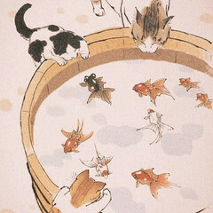 Полочка одного япониста