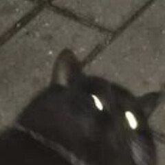  2025 в книгах