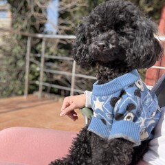 Семь сестер 💭💭💭