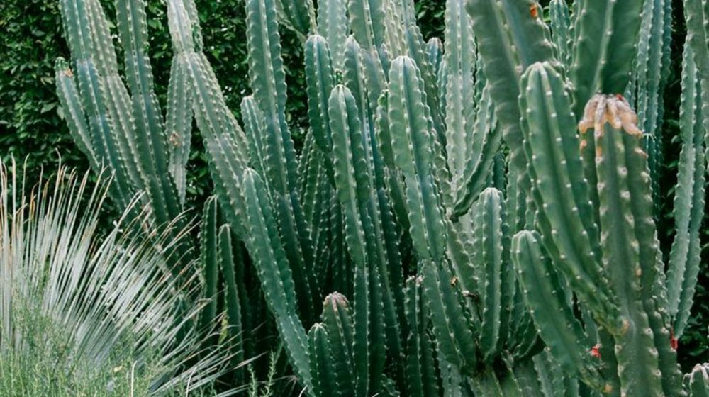 Книжный санаторий