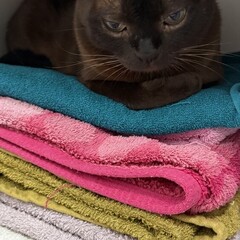 кизима зима