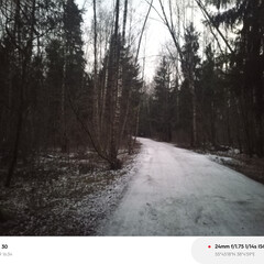 Очень понравилось