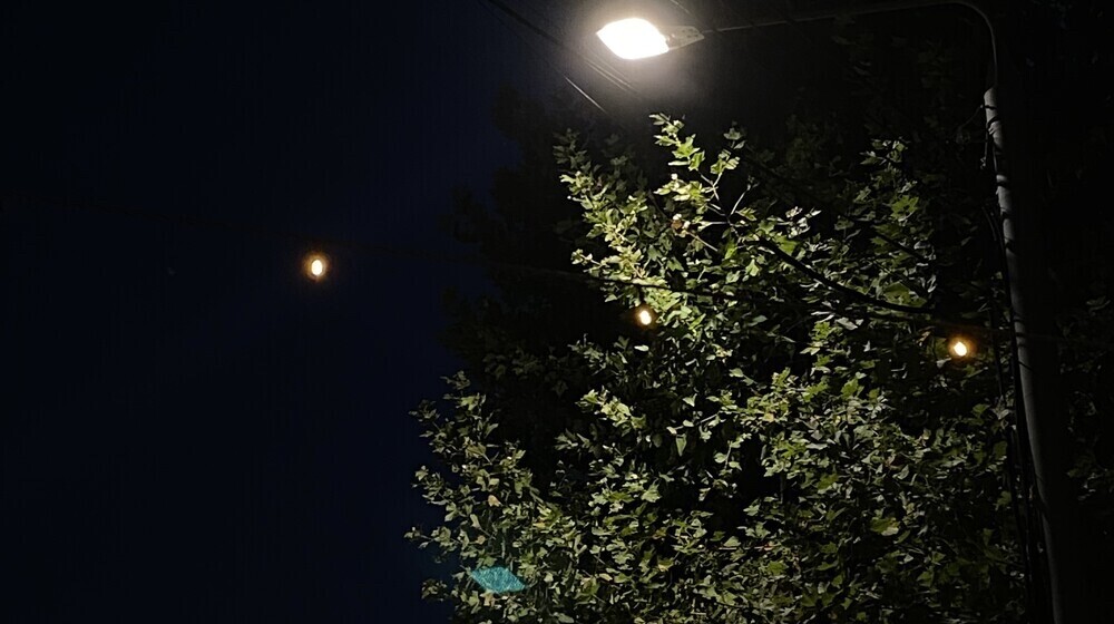 Любимое и понравившееся 