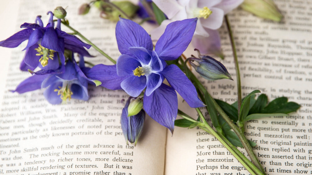 Классика разное💖