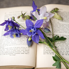 Классика разное💖