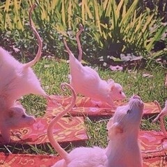 Удовольствие и не только