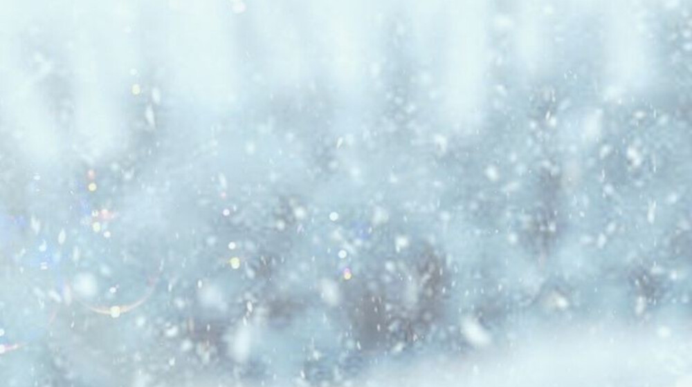 Школьная программа