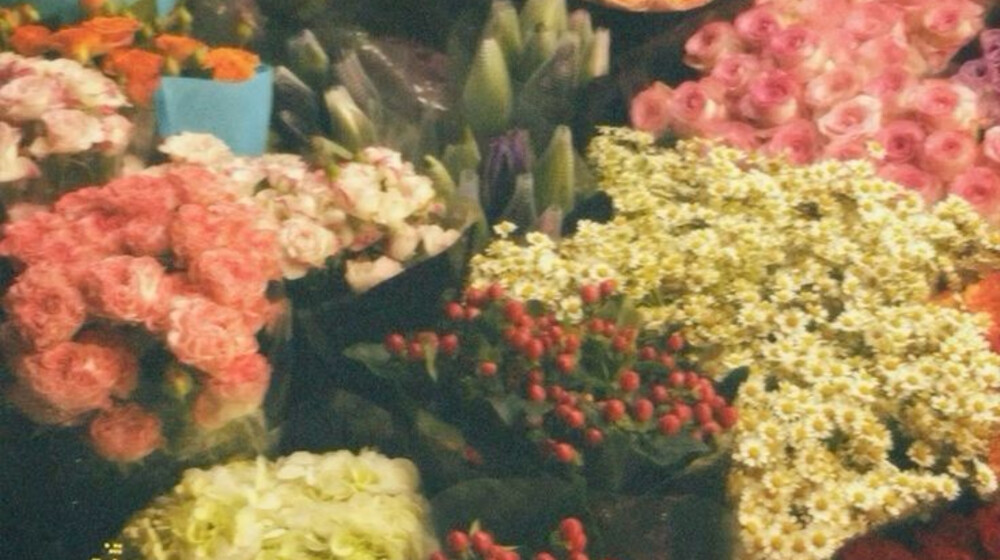 книжные планы