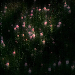 Лето в пионерском...  о чём молчит...в конце они оба ...