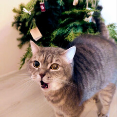 Допустим, книги