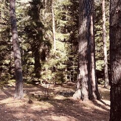 Большая полка