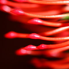 Как интернет вещей меняет вообще всё