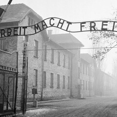 Нацистская Германия, холокост