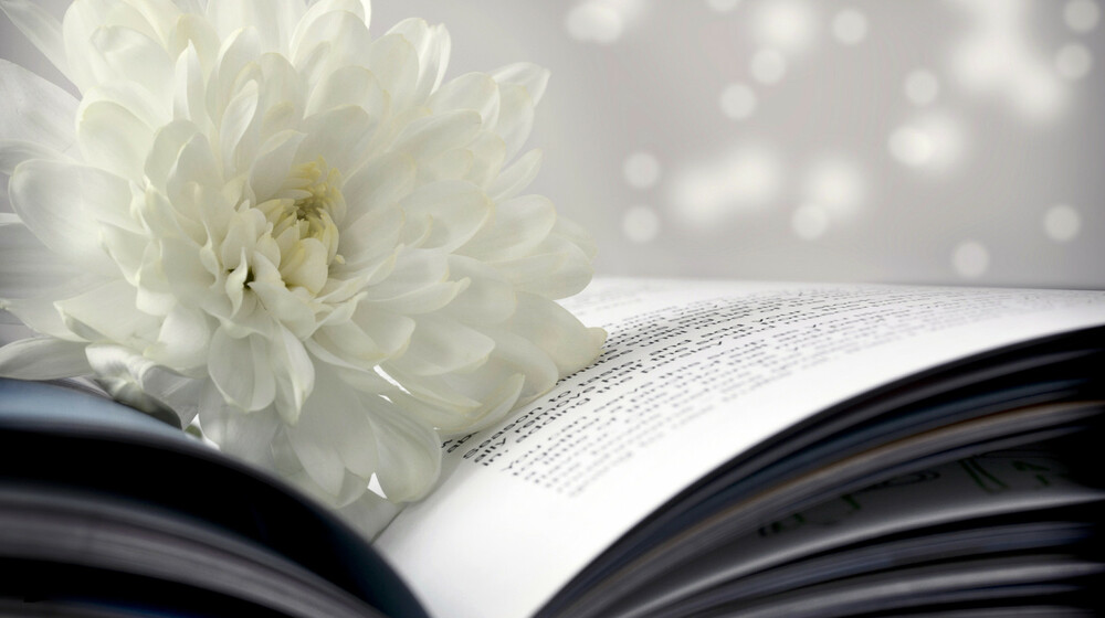 Ухоженный вид, грамотная речь и книги — вот что всегда будет в моде.