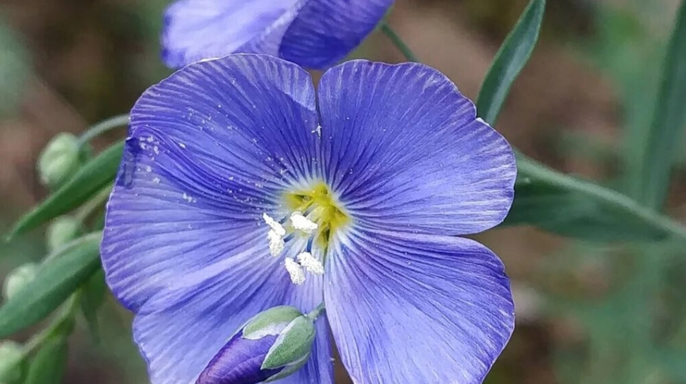 Классика (и не только)