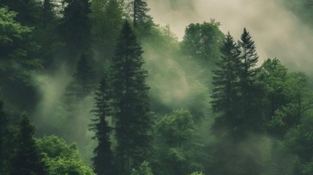 Рекомендации