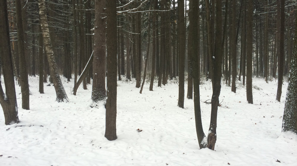 Кинематограф