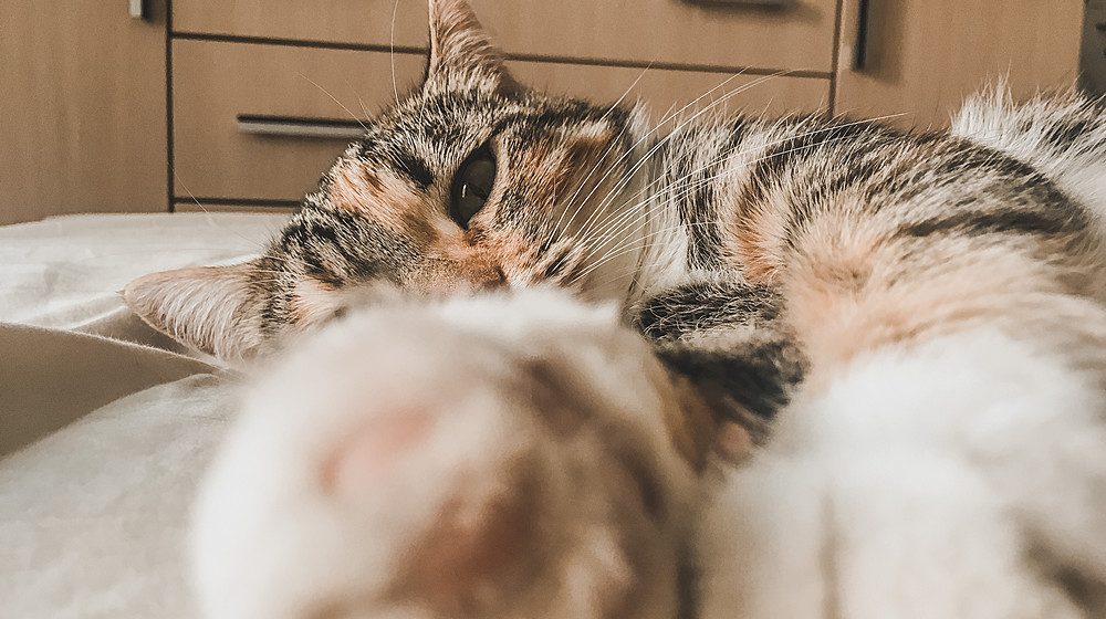 Сергей Викторович 
