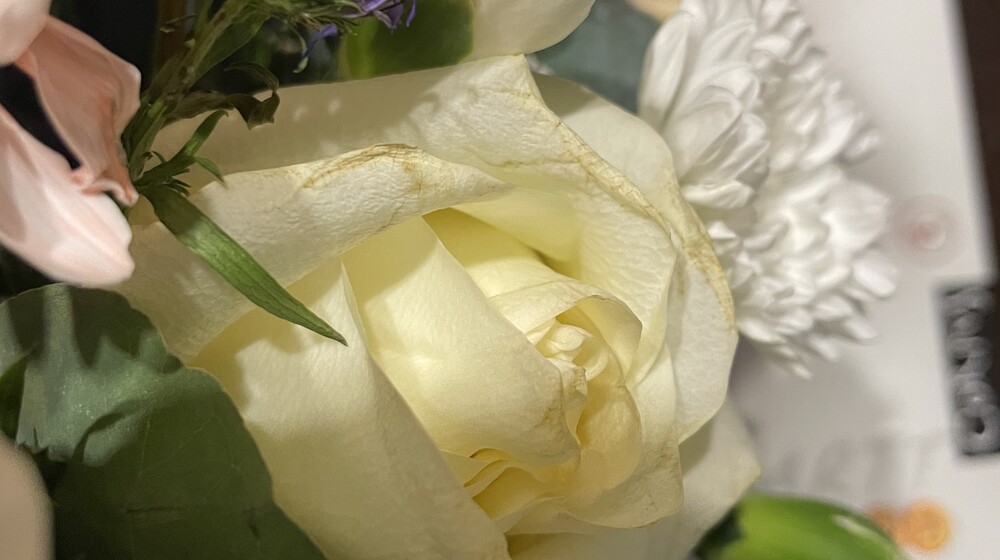 Художественный 