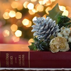 Книги, которые приятно читать в Новый год