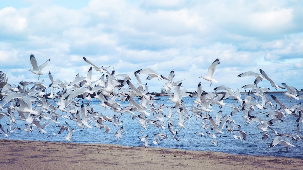 Минимализм и простые решения