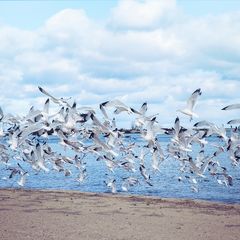 Минимализм и простые решения