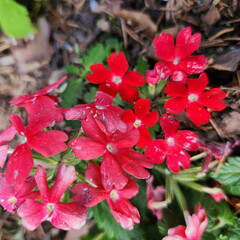 Нужно практиковаться