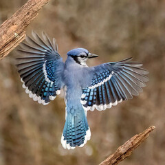 Трансерфинг