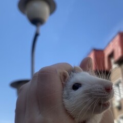 Приключения