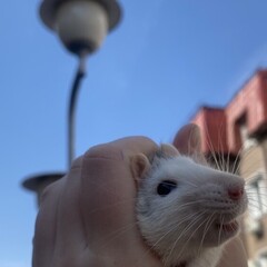 Приключения