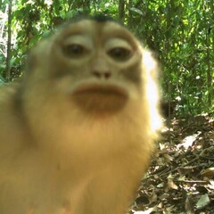 Бывает и так   