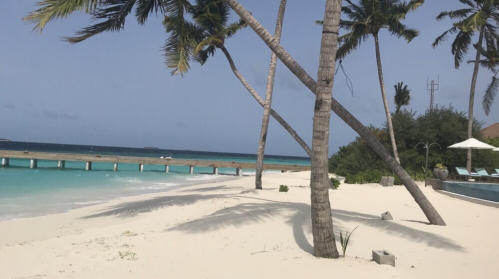 Психология