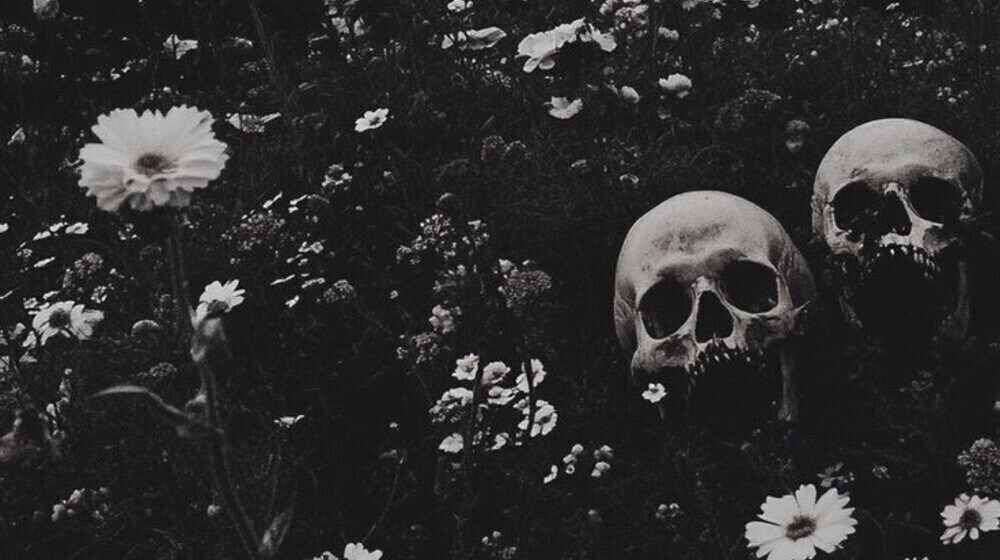 Dark romance 🖤🔞💀