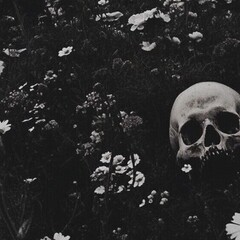 Dark romance 🖤🔞💀