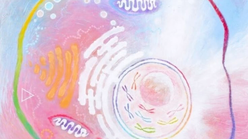 Ирония, сатира, абсурд 🎲