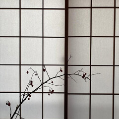 Прочитанное