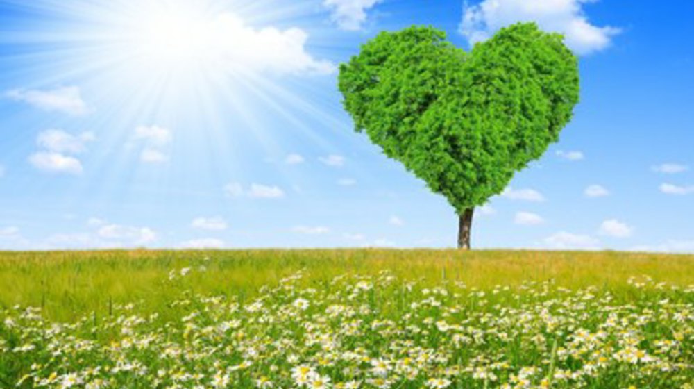 Любовь, чувства и секс.  
