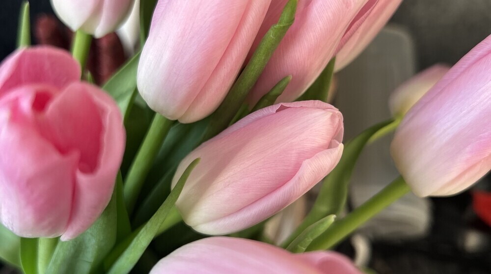 Легкое чтиво 🐣