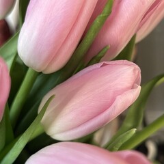 Легкое чтиво 🐣