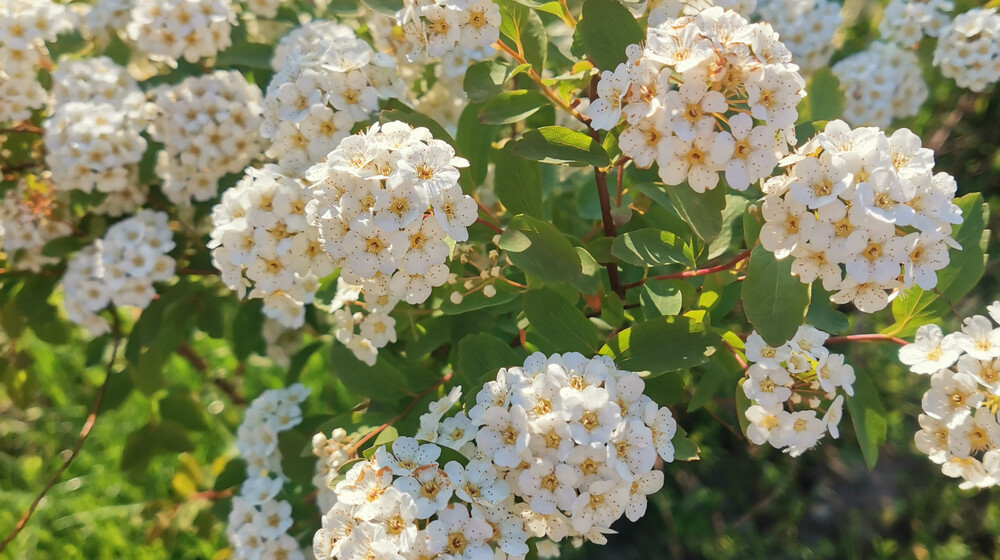 Психология