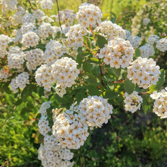 Психология