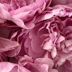 Перечитать