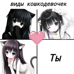 Кошкодевочки и кошкомальчики