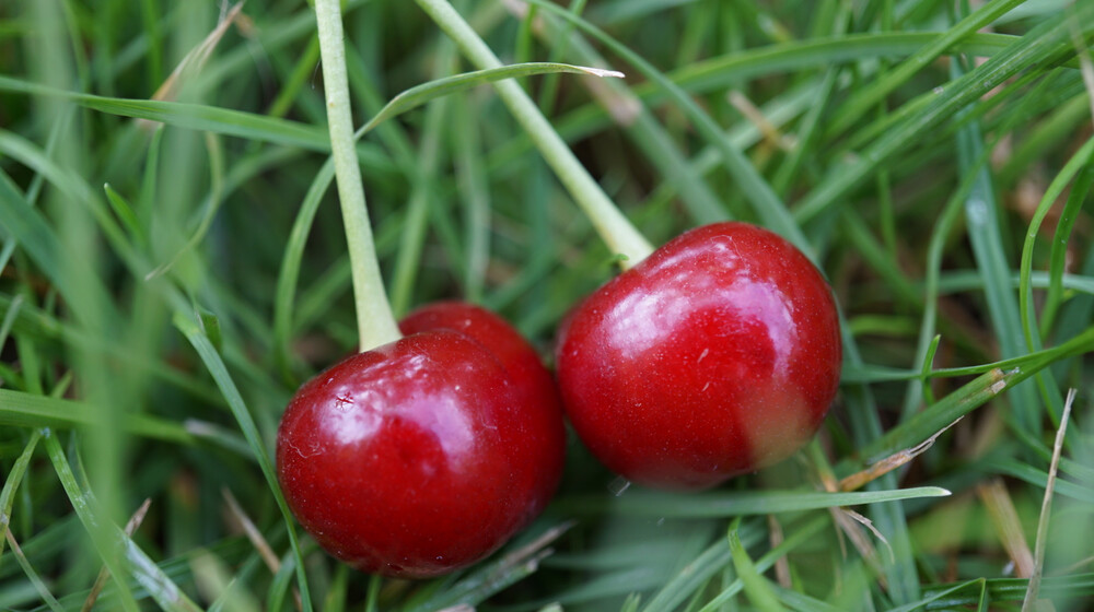 Книги 2020-2022