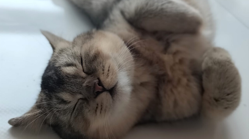 Просто фэнтези 🌌