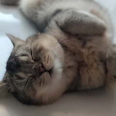 Просто фэнтези 🌌