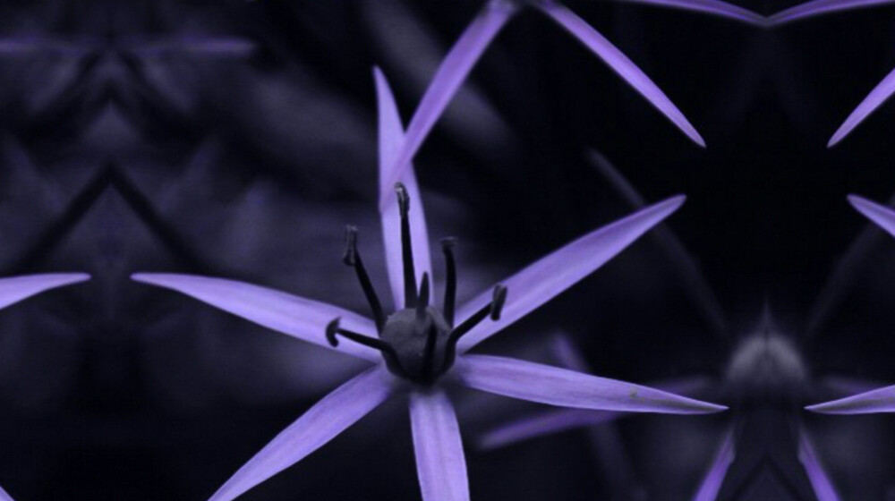 Книги, что я Советую
(за Жопу Держащее / Очко Щекотящее:
(Триллеры, Детективы, Тру-Крайм и Такое)