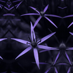 Книги, что я Советую
(за Жопу Держащее / Очко Щекотящее:
(Триллеры, Детективы, Тру-Крайм и Такое)