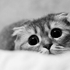 Жду Продолжения 👀